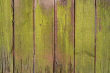 Background Of Old Wooden Moss Covered Wooden Boards