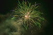 Fireworks ( hanabi) in summer , Shirahama beach, Shimoda, Izu peninsula, Shizuoka, Japan