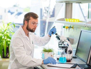 Wall Mural - scientist working in lab. doctor making microbiology research. laboratory tools: microscope, test tu