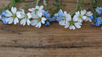  Meadow flowers on a background from old wood. Stellaria holostea and myosotis .