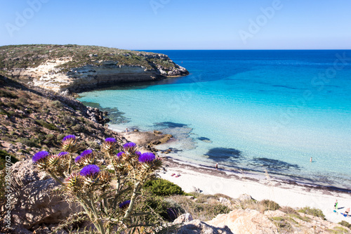 Lampedusa Island Sicily Rabbit Beach And Rabbit Island