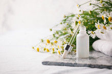 Concept Of Flowers And Organic Cosmetic. Essential Camomile Oil In Glass Bottle With Fresh Chamomile Flowers, Fragrant Daisy Oil, Beauty Treatment. Spa Concept