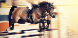 The brown horse overcomes an obstacle.Show jumping