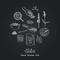 Chia hand drawn doodle set. Vector illustration. Isolated elements. Symbol collection.