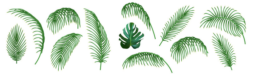 Poster - Set of realistic tropical palm leaves. Vector 3d Palms branches