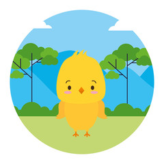 Canvas Print - cute chick animal landscape natural