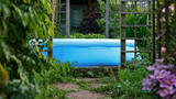 Fototapeta  - garden swimming pool in summer garden, backyard