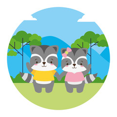 Poster - cute couple raccoon animal landscape natural