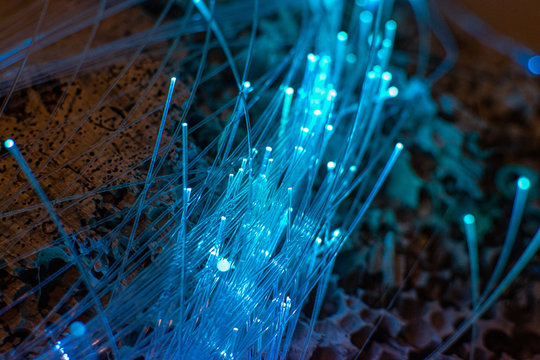 Light