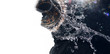 © KDdesignphoto - Double exposure of female face, clock, water and galaxy. Abstract woman portrait. Digital art. Girl in glasses of virtual reality. Augmented reality, dream, future technology, game concept. VR.