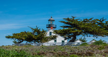 Point Pinos Historic Lighthouse Along The Monterey Bay In Pacific Grove, California, Near Asilomar Beach, With Monterey Cypress Trees (Cupressus Macrocarpa) In The Foreground.