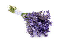 Lavender Flowers Bunch Tied Isolated On White Background