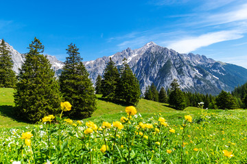 Picturesque meadows and forest are located amond the high mountains. Austria, Gnadenwald, Tyrol Region.