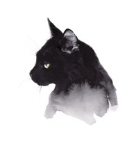 Cat Black Watercolor Painting Free Stock Photo - Public Domain Pictures