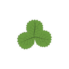 Poster - autumn green color leaf illustration