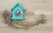 Decorative Birdhouse Front With Decorative Bird On A Background With Bird Seed And Spanish Moss
