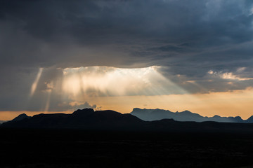 Wall Mural - landscape view of big bend national park during the sunset in texas.
