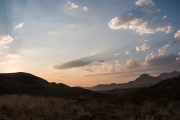 Wall Mural - landscape view of big bend national park during the sunset in texas.