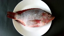 Fresh Raw Tilapia Fish In A White Plate With Black Background. Tilapia Is The Fourth-most Consumed Fish Due To Its Low Price, Easy Preparation, And Mild Taste.