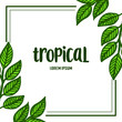 Lettering summer tropical with bright green leaves and floral frame. Vector