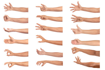 Wall Mural - Set of man hand isolated on white background.