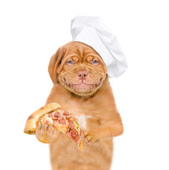 Poster - Smiling puppy in chef's hat with pizza. isolated on white background