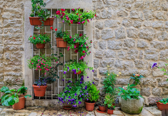 Wall Mural - Picturesque stone wall in the streets of a preserved medieval Old town with colorful potted flowers in Budva, Montenegro