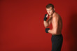 © Pixel-Shot - Strong male boxer on color background
