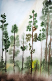 Fototapeta Las - watercolor forest, watercolor trees background and wallpaper