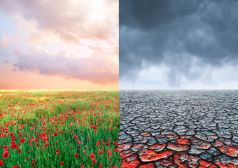 ecological concept with tree and climate changing landscape