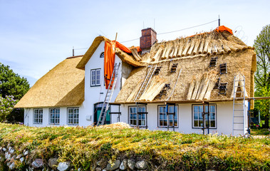 Wall Mural - new thatched roof