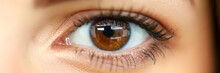 Female Left Brown Coloured Amazing Shiny Eye