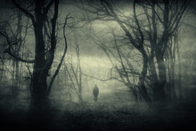 Horror Forest Landscape, Surreal Haunted Woods With Scary Silhouette At Night