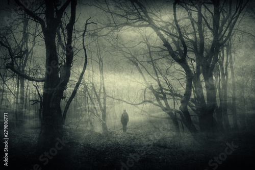 images Woods At Night Scary https stock adobe com de images horror forest landscape surreal haunted woods with scary silhouette at night 279806771 start checkout 1 content id 279806771