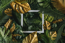Creative Nature Background. Gold And Green Tropical Palm Leaves. Minimal Summer Abstract Jungle Or Forest Pattern. White Paper Frame Copy Space.