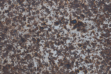 Aufkleber - Rusty metal panel texture for background design