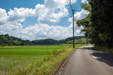 Sticker - 道路と緑の田園地帯