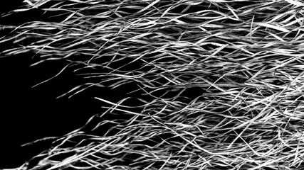 Abstract hanging grass