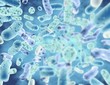 Bacteria medical blue background.