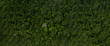 © Kalyakan - Aerial top view forest, Texture of forest view from above, with copy space design for web banner.