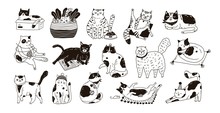 Collection Of Cute Funny Cats Sitting, Washing, Stretching Itself, Playing. Bundle Of Adorable Purebred Pet Animals Hand Drawn With Contour Lines On White Background. Monochrome Vector Illustration.