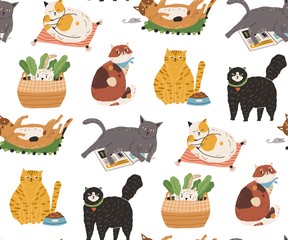 Poster - Seamless pattern with cute funny cats sleeping, washing, stretching itself, playing, hiding. Backdrop with adorable purebred pet animals on white background. Flat colorful vector illustration.