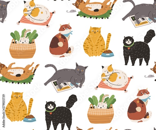 Fototapeta Seamless pattern with cute funny cats sleeping, washing, stretching itself, playing, hiding. Backdrop with adorable purebred pet animals on white background. Flat colorful vector illustration.