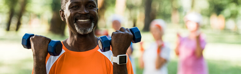 Wall Mural - panoramic shot of african american man holding dumbbells and doing exercises