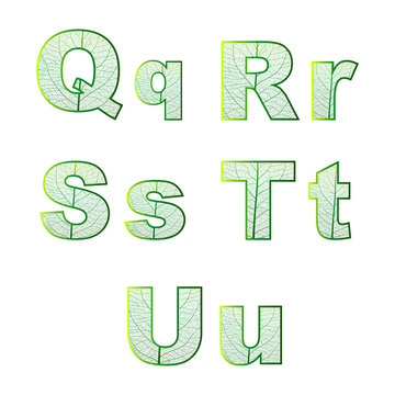 Set of eco Latin  letters texture leaf vein. Vector illustration. EPS 10.