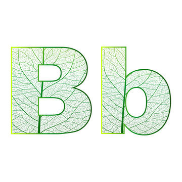Set of eco Latin  letters texture leaf vein. Vector illustration. EPS 10.