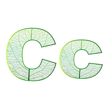 Set of eco Latin  letters texture leaf vein. Vector illustration. EPS 10.