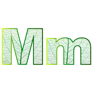 Set of eco Latin  letters texture leaf vein. Vector illustration. EPS 10.