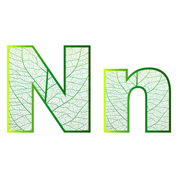 Set of eco Latin  letters texture leaf vein. Vector illustration. EPS 10.