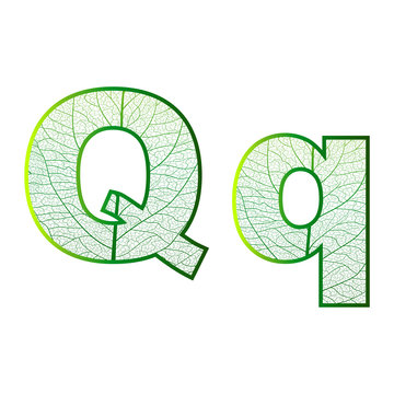 Set of eco Latin  letters texture leaf vein. Vector illustration. EPS 10.